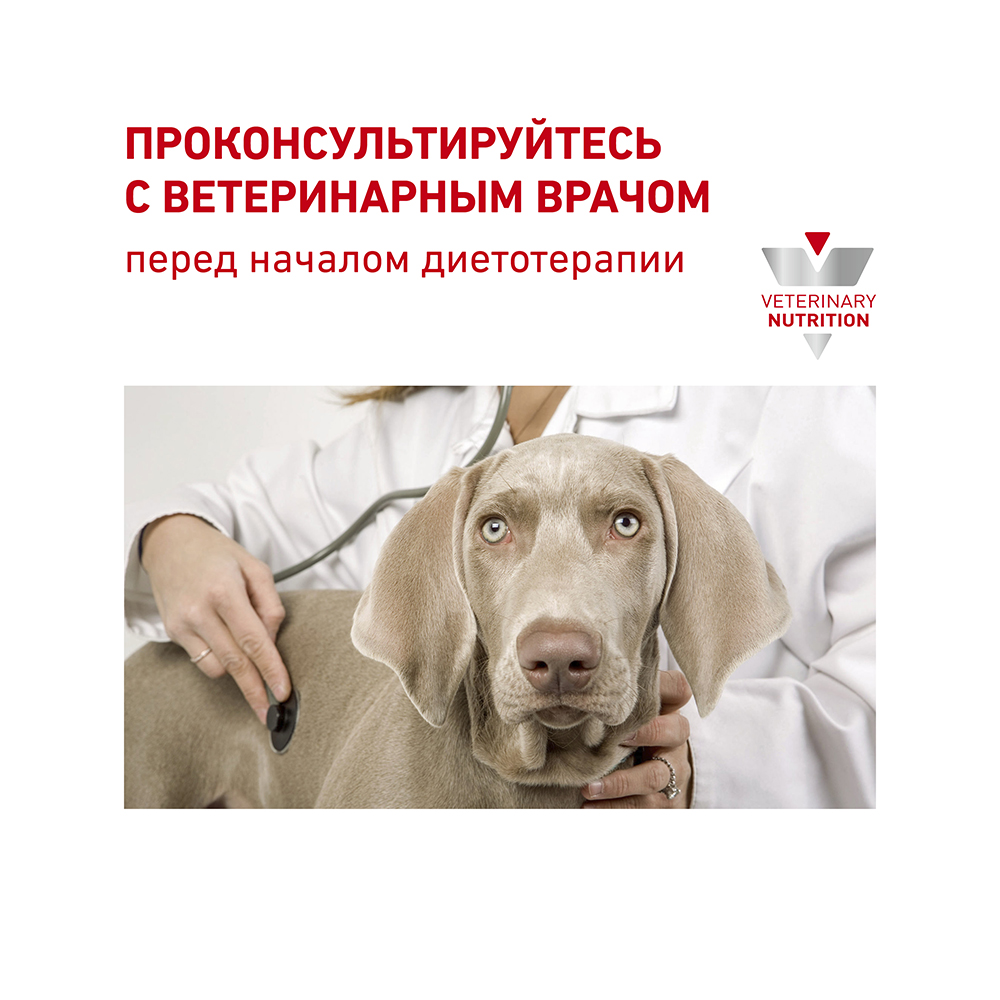 ПР0056153 Корм для собак Vet Diet Early Renal при ранней стадии почечной недостаточности сух. 7кг ROYAL CANIN  - Вид №8