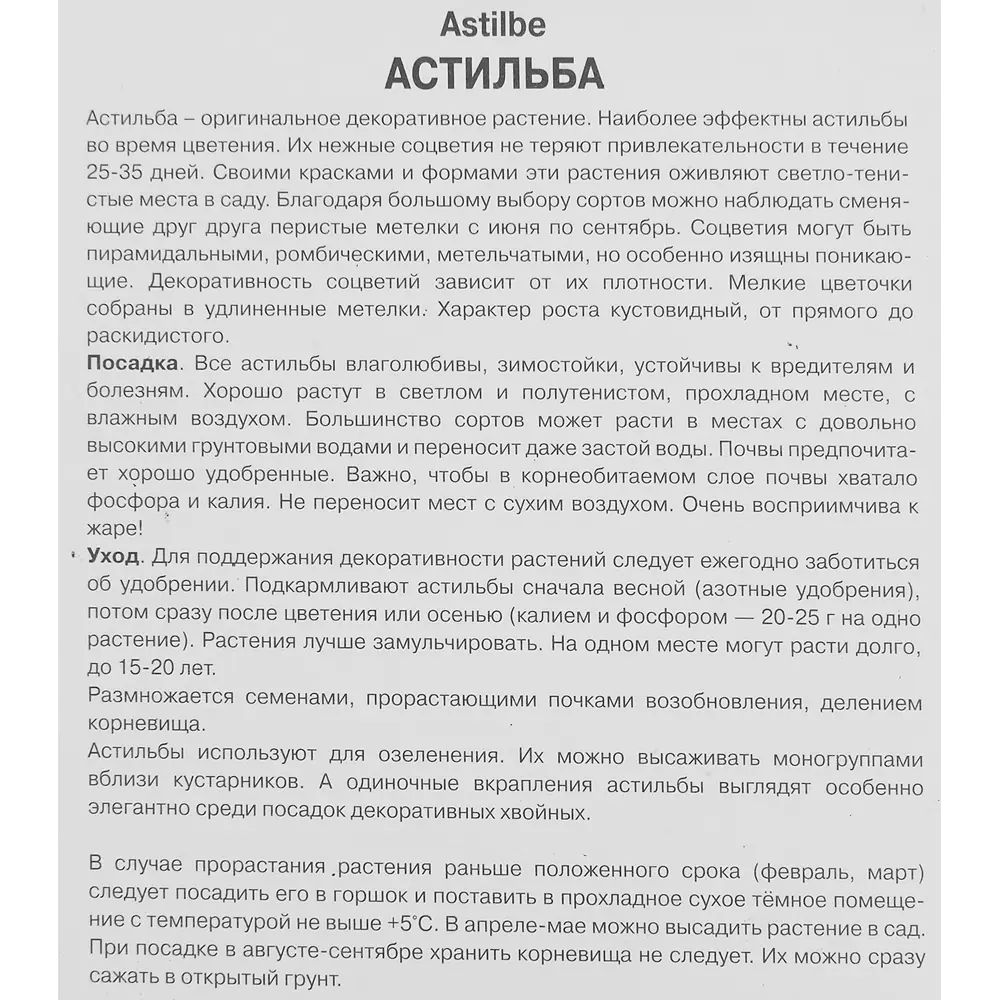 Астильба гибридная Чоколат Чогун 85186012 STLM-2110095 ПОИСК  - Вид №2