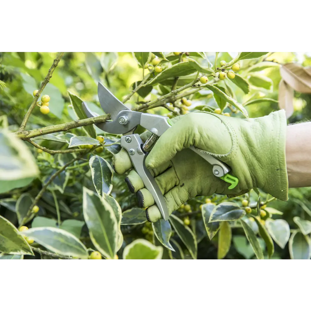 Универсальный секатор Geolia для точной обрезки садовых растений 81980760 STLM-0016487 - Вид №5