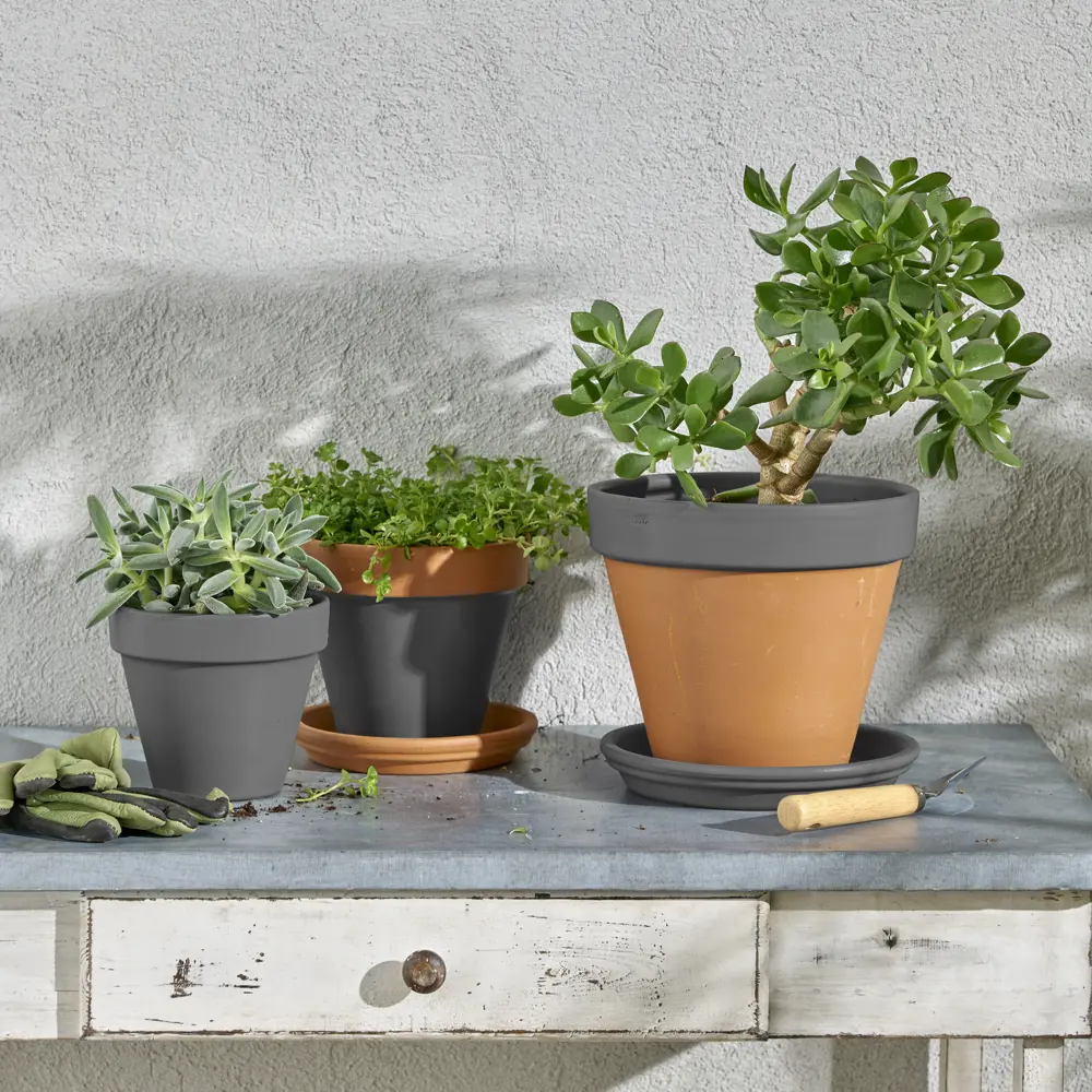 Аэрозольная эмаль Luxens серый гранит для интерьера и экстерьера 83237391 STLM-0039749 - Вид №5