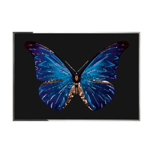 Farfalla Смешанная техника Visionnaire 