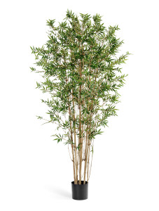 10.34304N Бамбук Японский ориенталь Цветочная коллекция