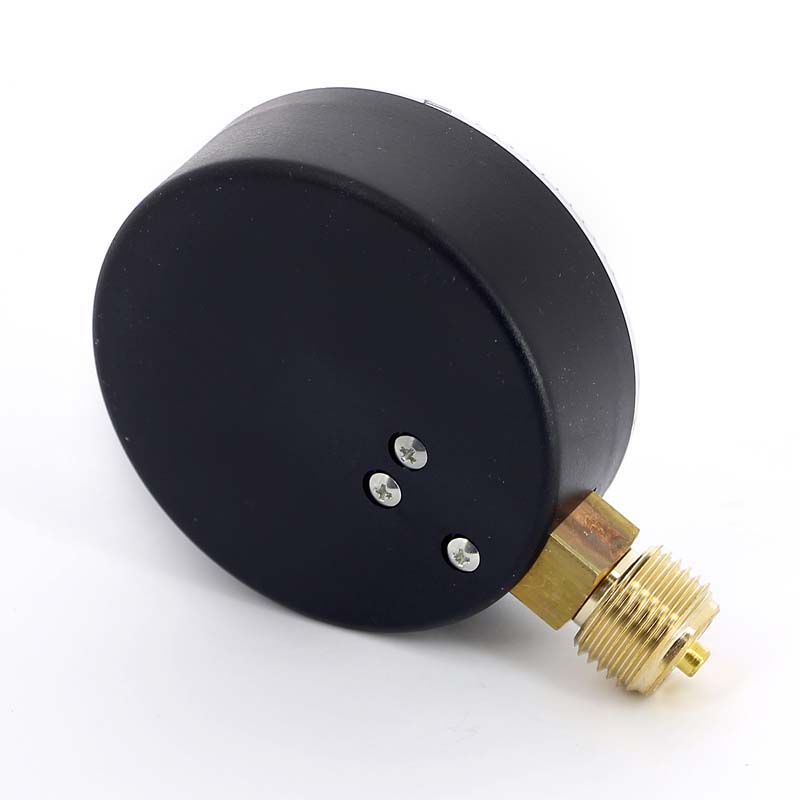 Манометр радиальный F+R200 1/2" 80 мм WATTS Ind 25 бар 10007795 - Вид №2