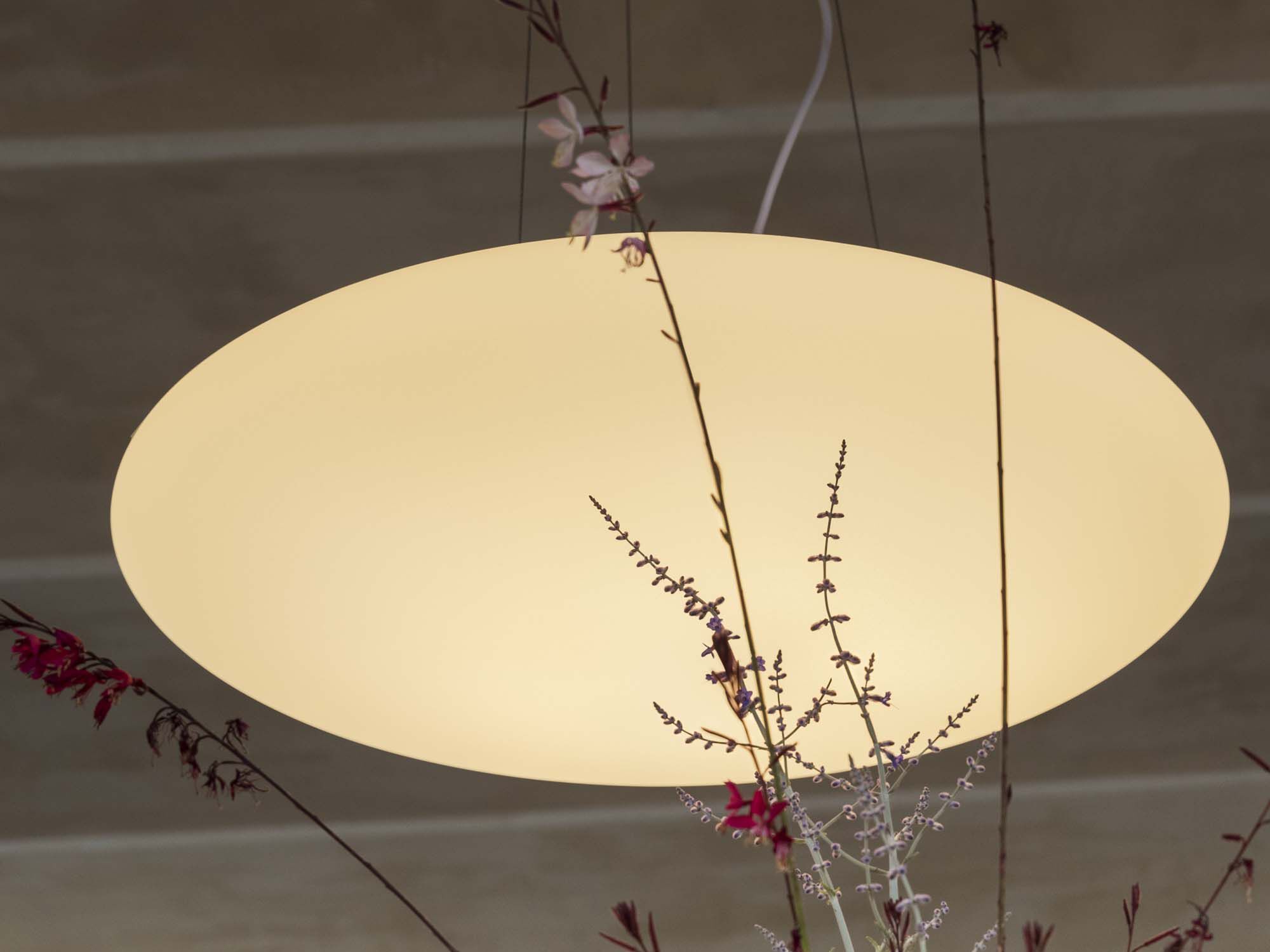 Подвесной светильник Ideal Lux Smarties ARCH-00101266 - Вид №2