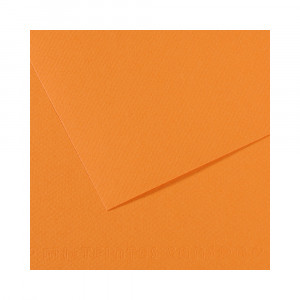 200321104 Бумага для пастели Mi-Teintes 160 г/м2 50 х 65 см лист №384 буйволиная кожа Canson