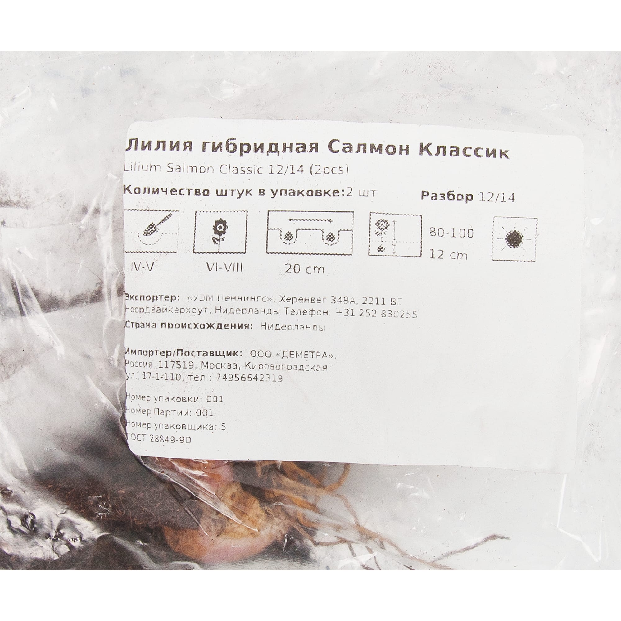 83761001 Лилия гибридная Салмон луковица 12/14 Santreyd  - Вид №1