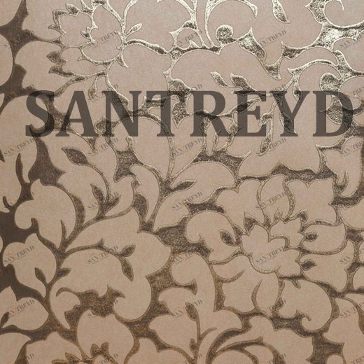 0502-PIT Обои ProSpero Space 0502PIT