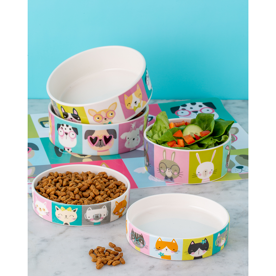 2030.474 Миска для кошек pawtrait, D13 см, 250 мл Mason Cash  - Вид №2