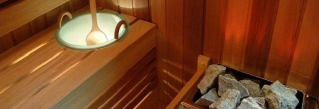 купить парогенератор для хамама купить парогенератор в Москве